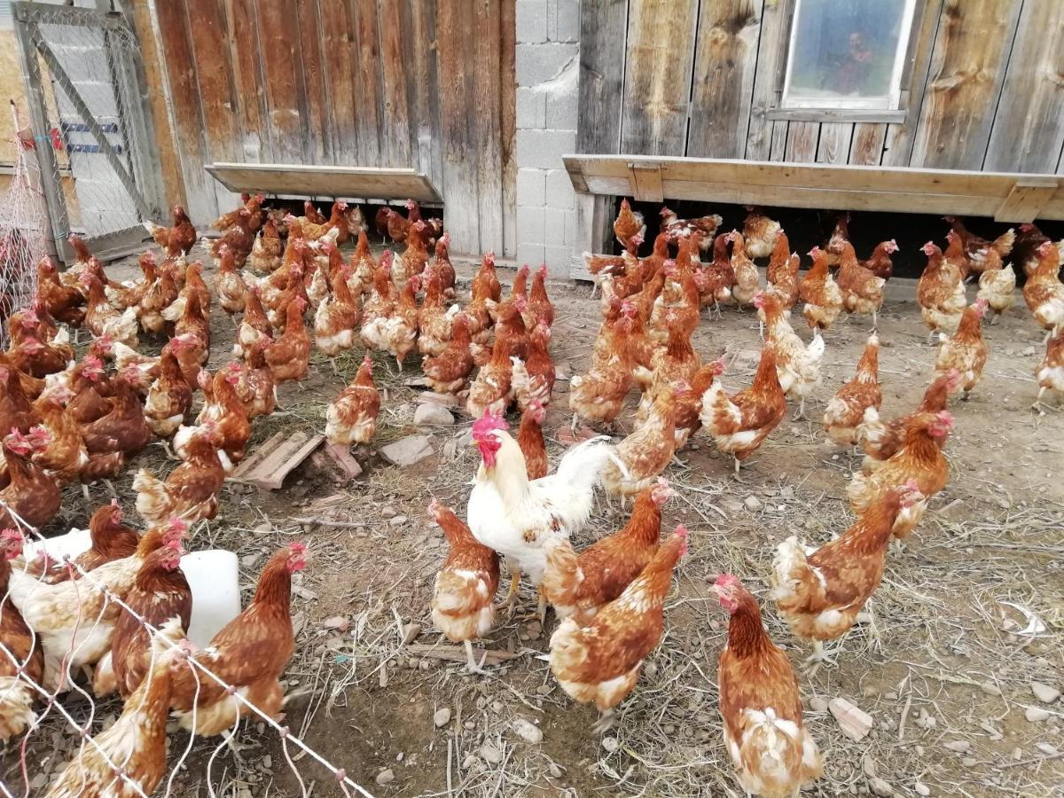 술츠베르크 Stockreutehof 아파트 외부 사진
