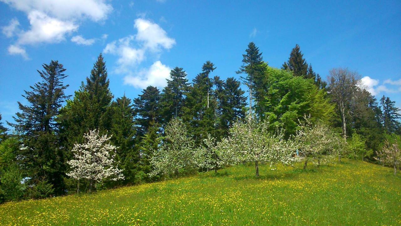 술츠베르크 Stockreutehof 아파트 외부 사진