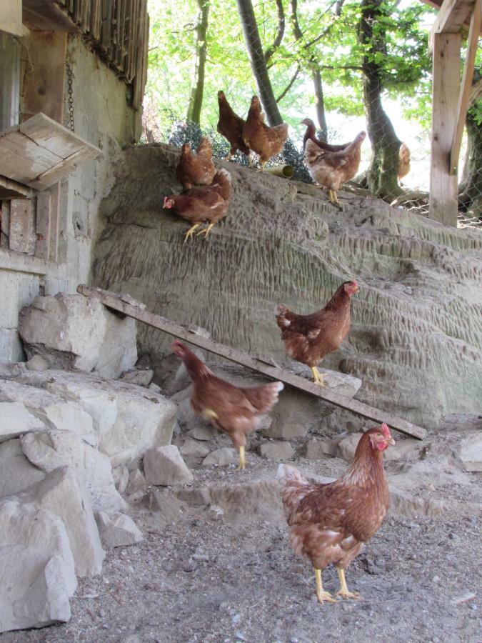 술츠베르크 Stockreutehof 아파트 외부 사진